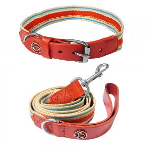 Adjustable Dog Collar and Leash Set